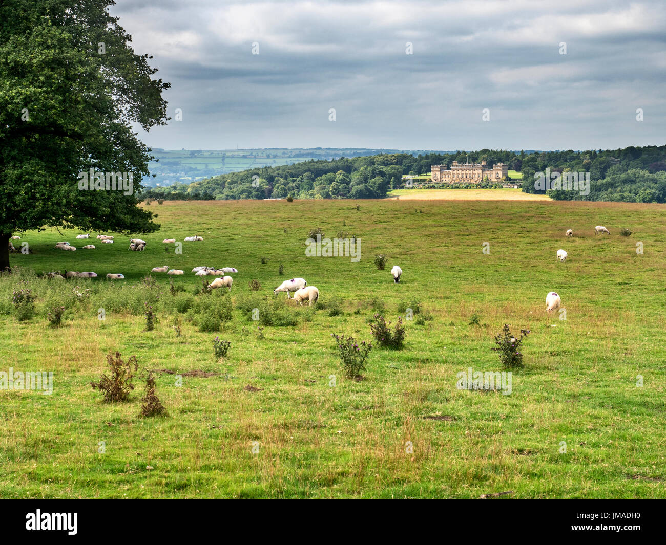 Harewood House aus Leeds Land Weg an der Lodge Hills Harewood Park Leeds in West Yorkshire England Stockfoto