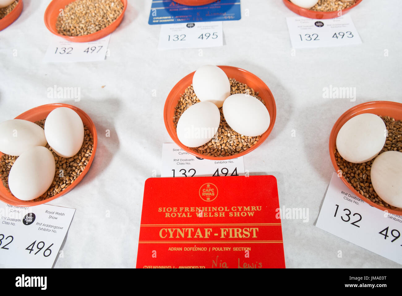 Royal Welsh Agricultural Show, jährlich am Royal Welsh Showground, Llanelwedd, Builth Wells,Powys,Wales,UK,U.K.,Europe, Stockfoto