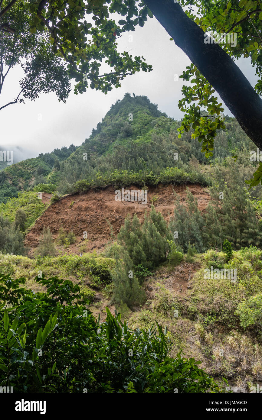 Nach oben auf die Iao Nadel auf Maui, Hawaii. Stockfoto