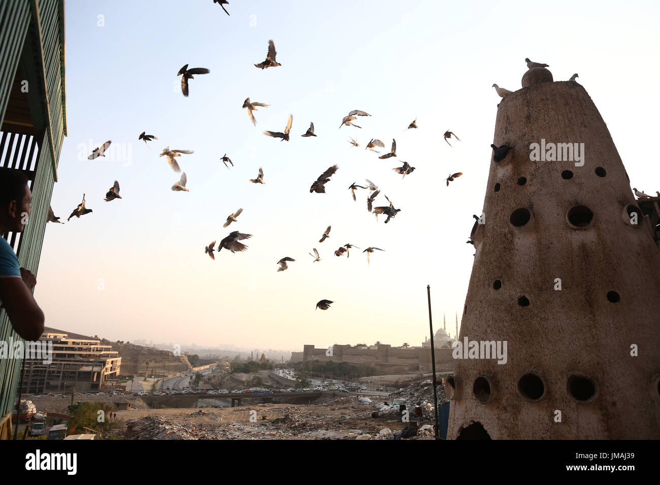 Kairo. 23. Juli 2017. Tauben fliegen Sie zurück nach ein Taubenschlag in Kairo am 23. Juli 2017. Bildnachweis: Ahmed Gomaa/Xinhua/Alamy Live-Nachrichten Stockfoto