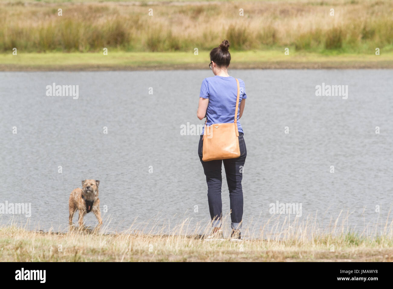 London, Großbritannien. 27. Juli 2017. Ein Hund Walker genießt die midl warme Wetter auf Wimbledon Common als milde Temperaturen bleiben vor schweren und anhaltenden Regen erwartet, die sich über viele Teile Großbritanniens Kredit ist: Amer ghazzal/alamy leben Nachrichten Stockfoto