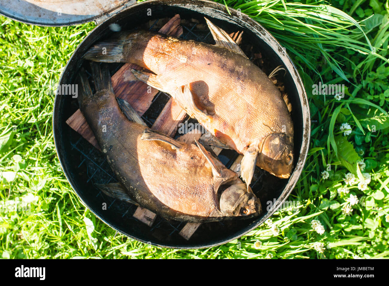 Fisch Rauchen Prozess für den Heimgebrauch. Geräucherter Fisch. Nahaufnahme Rauchen Prozess Fisch In Rauchen Schuppen für den Heimgebrauch. Rauch aus dem offenen Feuer Stockfoto