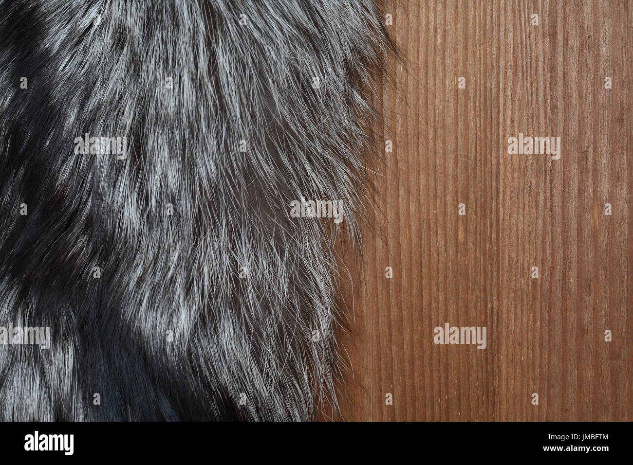 Nahaufnahme des natürlichen Silberfuchs Pelz auf Holzuntergrund Stockfoto