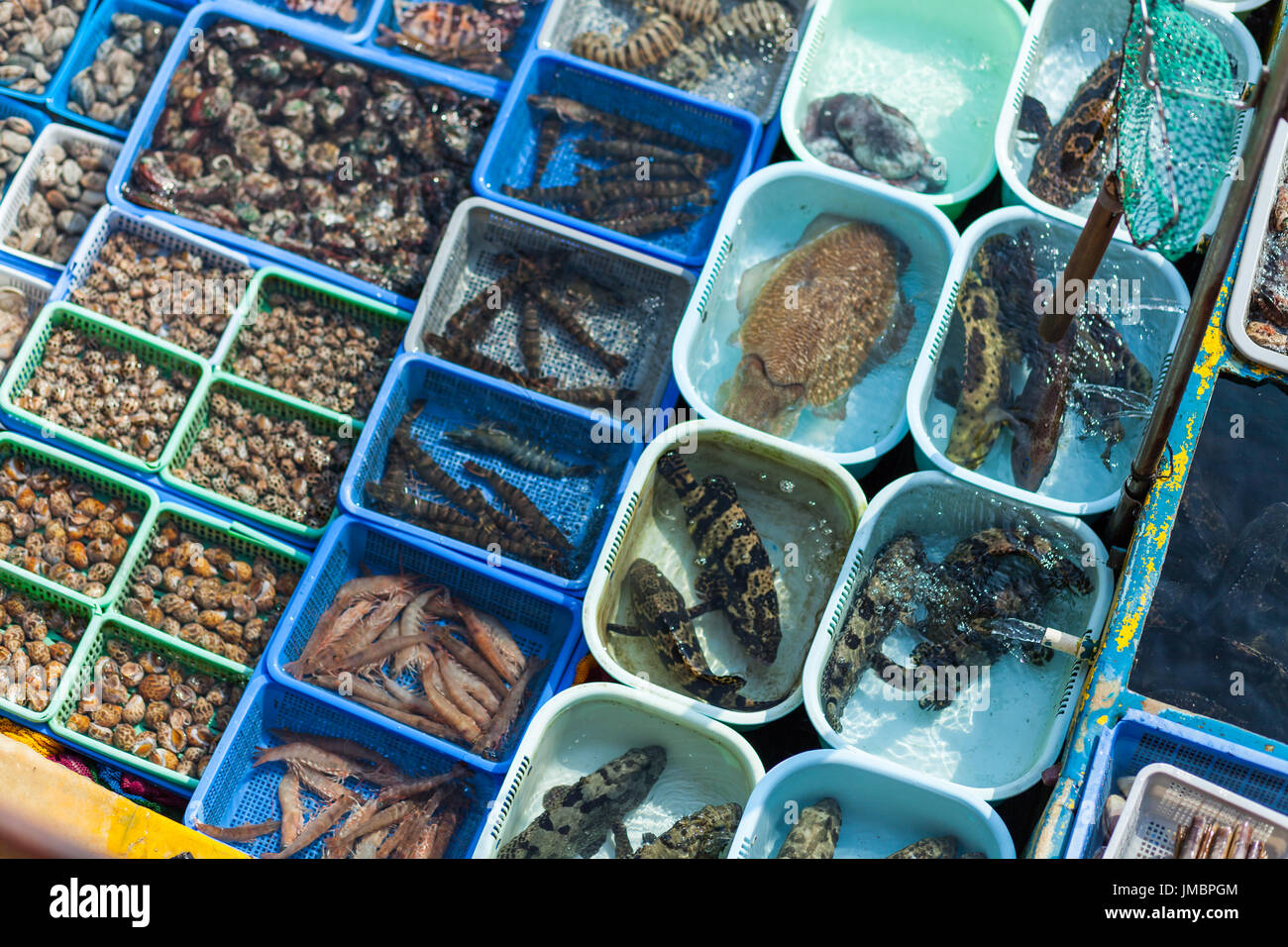 HONG KONG - 10. Januar 2015: Fischerboot in Sai Kung Pier ungewöhnliche Auswahl an lebende Meeresfrüchte zu verkaufen. Hong Kong, china Stockfoto