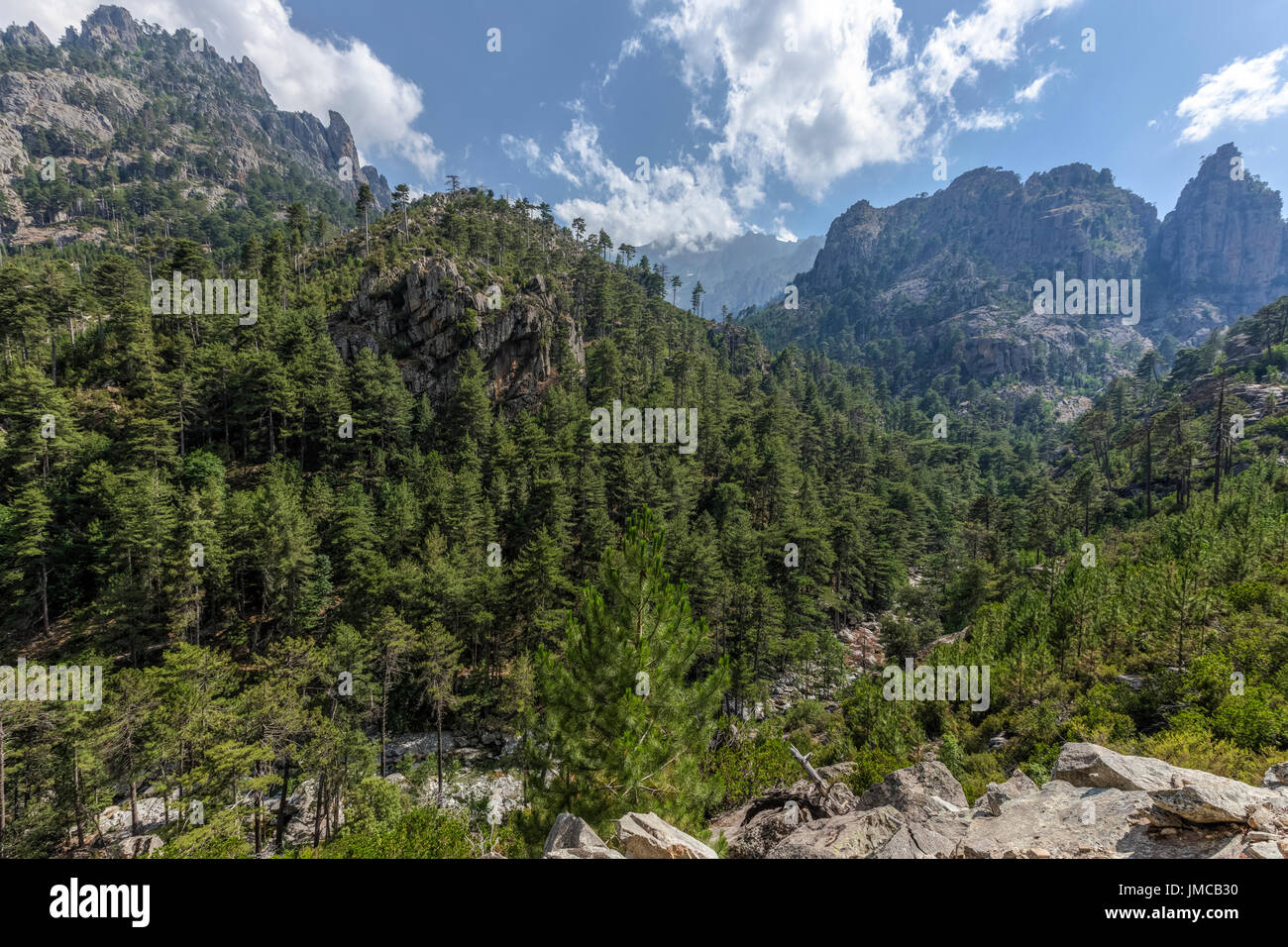 Gorges De La Restonica, Korsika, Frankreich Stockfoto