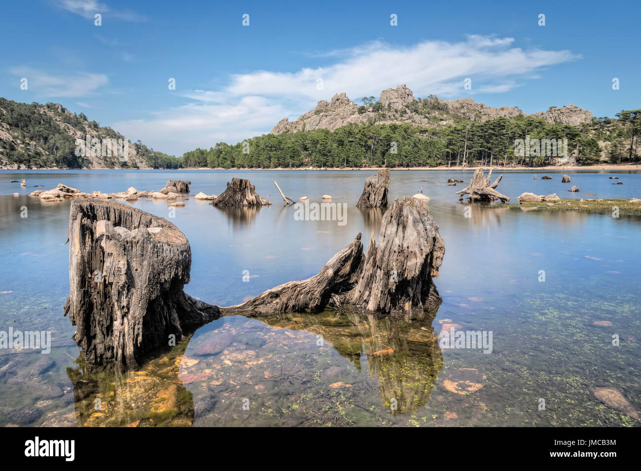 Lac de l'Ospedale, Porto-Vecchio, Korsika, Frankreich Stockfoto