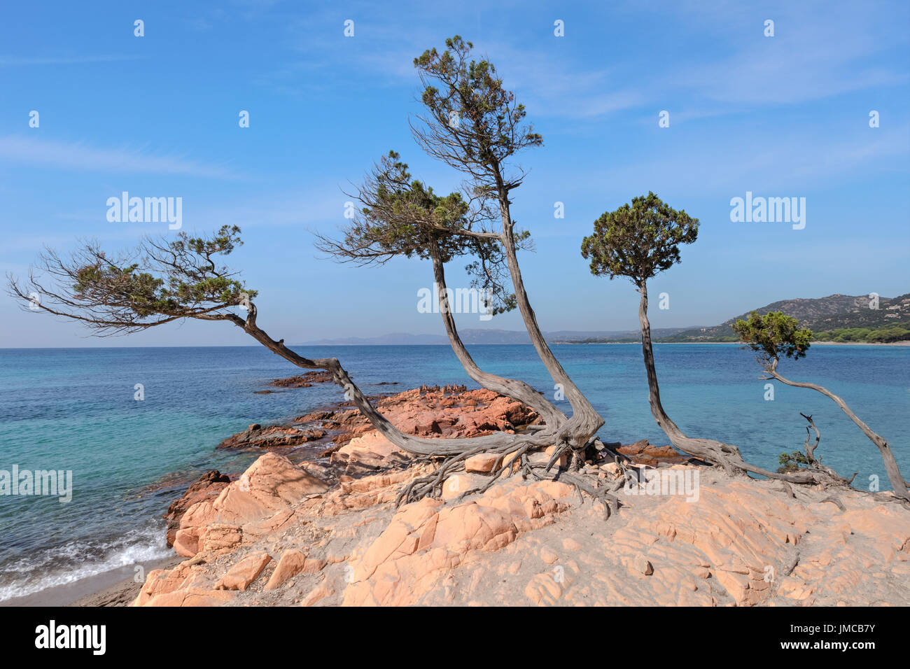 Palombaggia Beach, Porto-Vecchio, Korsika, Frankreich Stockfoto