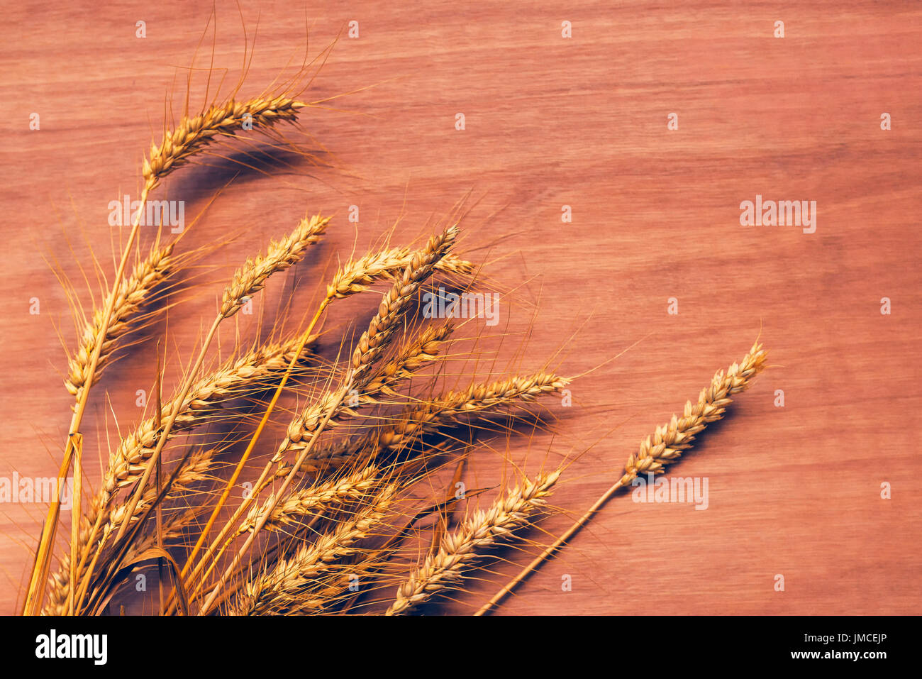 Roggen Ähren auf Sperrholz Hintergrund, geernteten Getreide Stockfoto