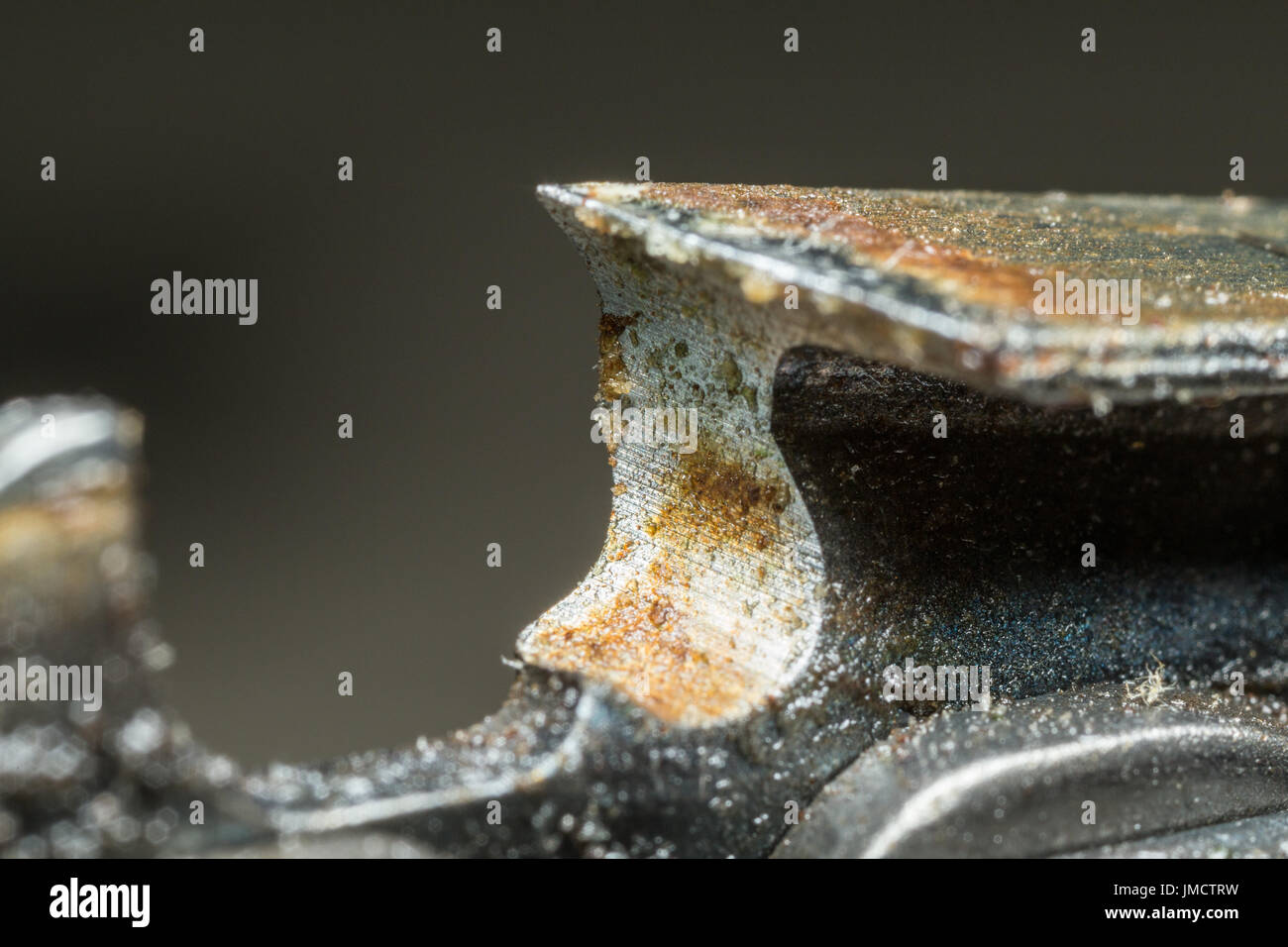 Makroaufnahme der Kettensäge Zahn Stockfotografie - Alamy