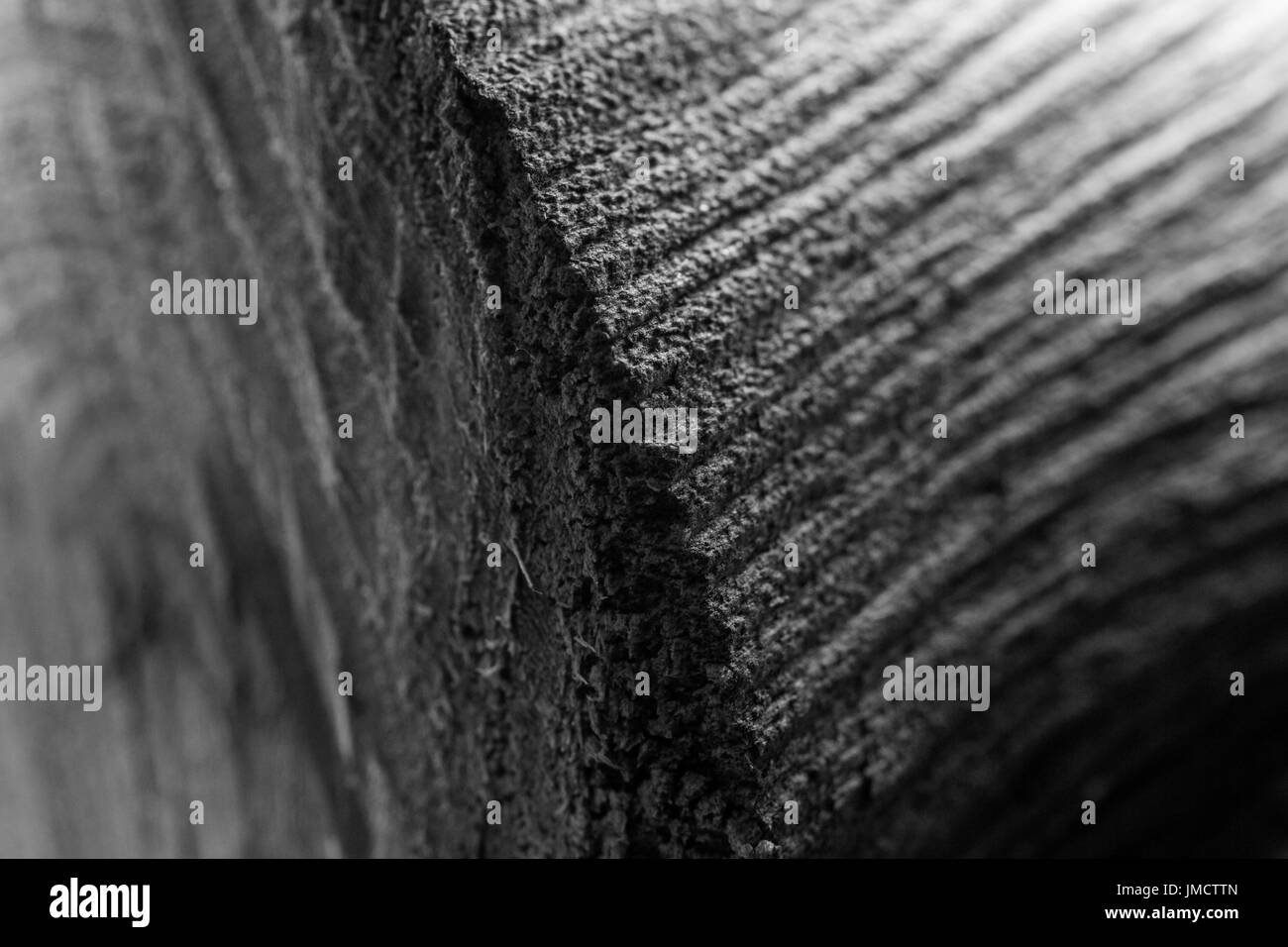 Schwarz und Weiß Wood texture Makro Foto Stockfoto