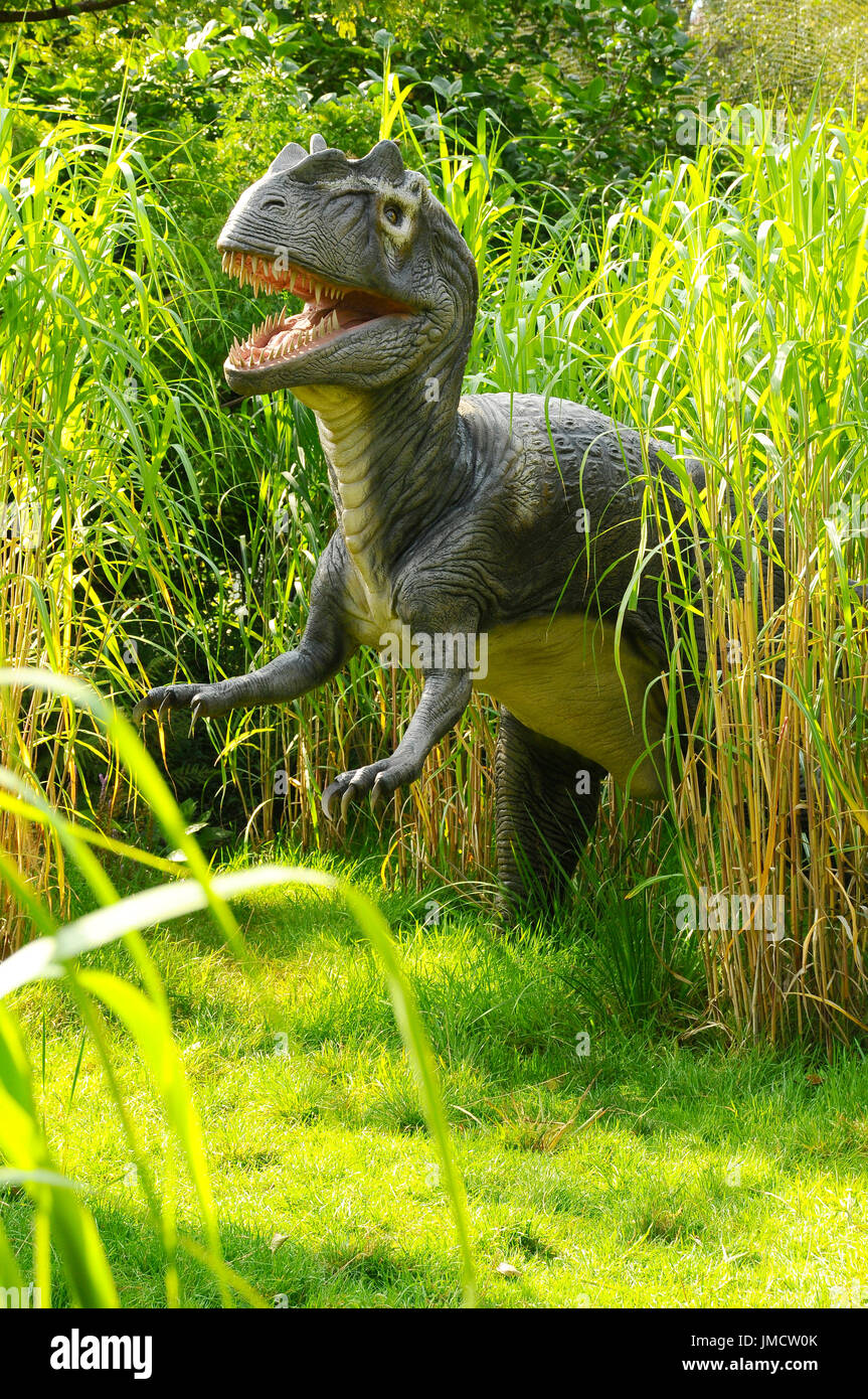 Ein Modell Allosaurus Dinosaurier-Jagd in den langen Rasen Stockfoto