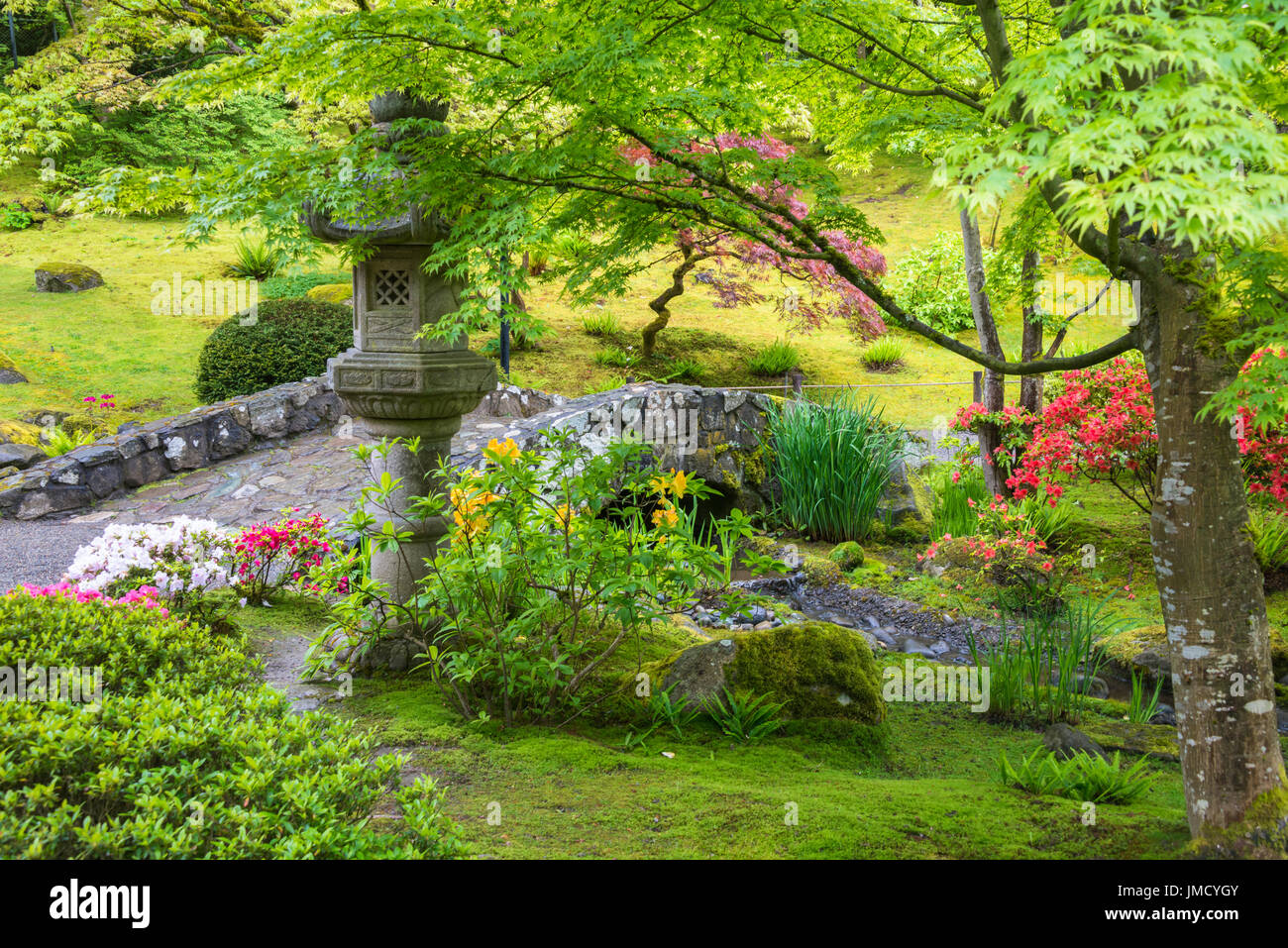 Stein Laterne und Brücke im japanischen Garten im Frühjahr Stockfoto