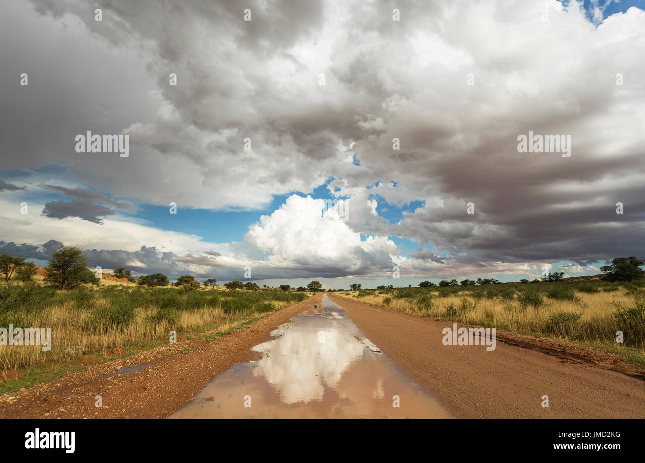 Straßen- und Cumulus-Wolken in der Kalahari-Wüste während der regnerischen Jahreszeit Stockfoto