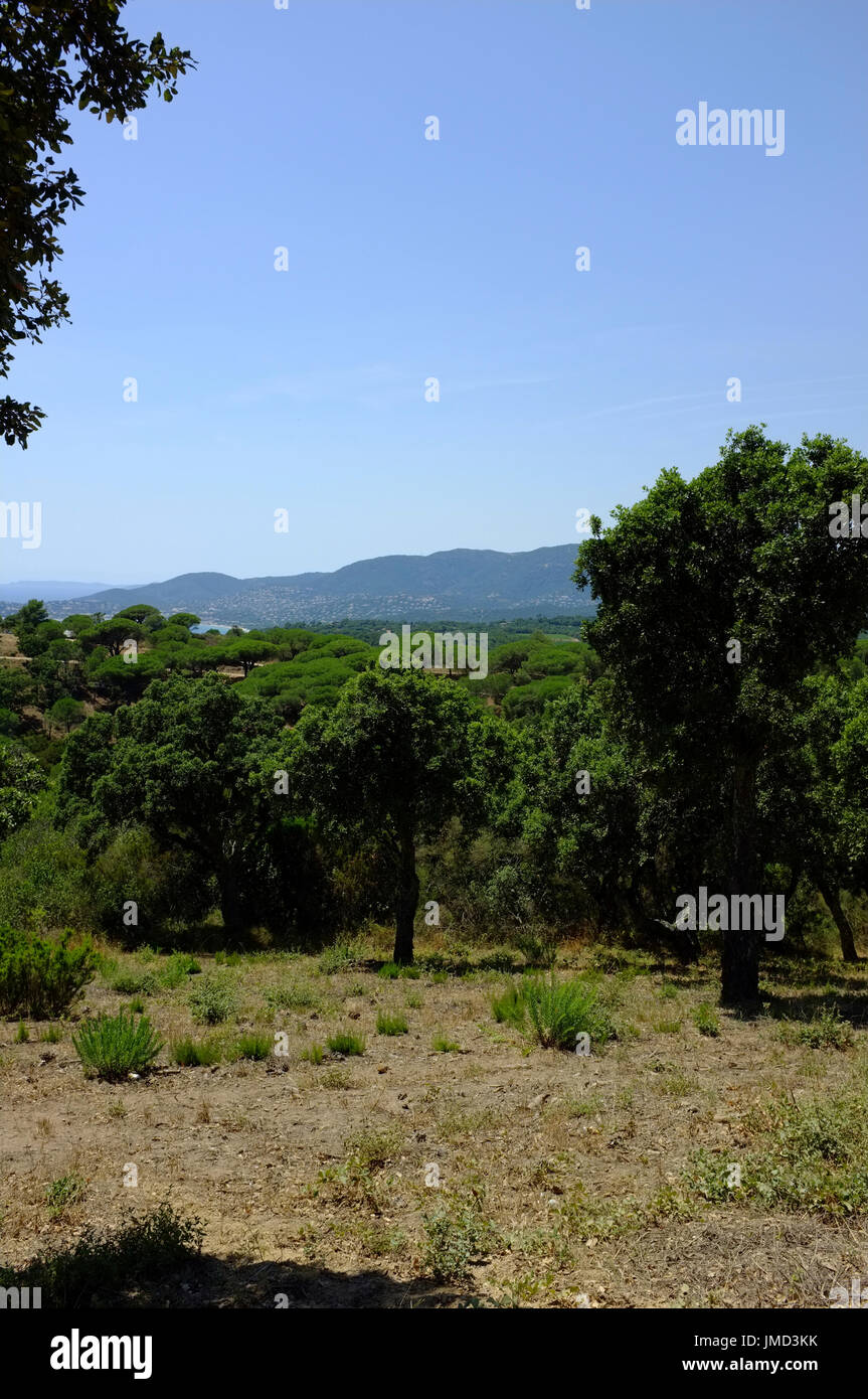 Die Landschaft rund um Ramatuelle Stockfoto