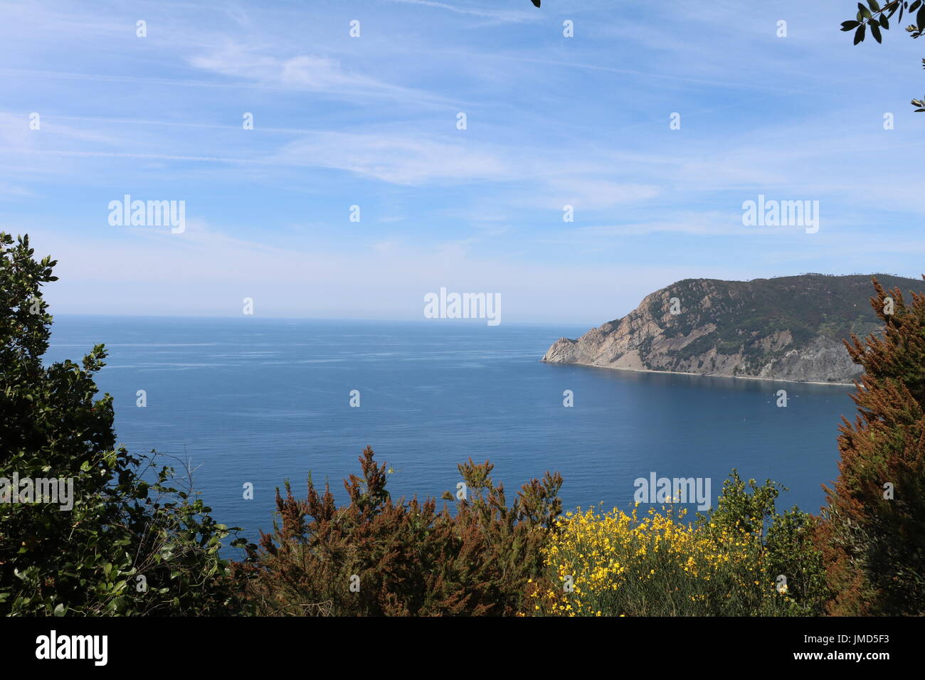 Farbenfrohe Pflanzen auf einer Klippe gegen den klaren blauen Himmel und Meer bilden eine Landschaft Ansicht Form ein Wanderweg in den Cinque Terre, Italien Stockfoto