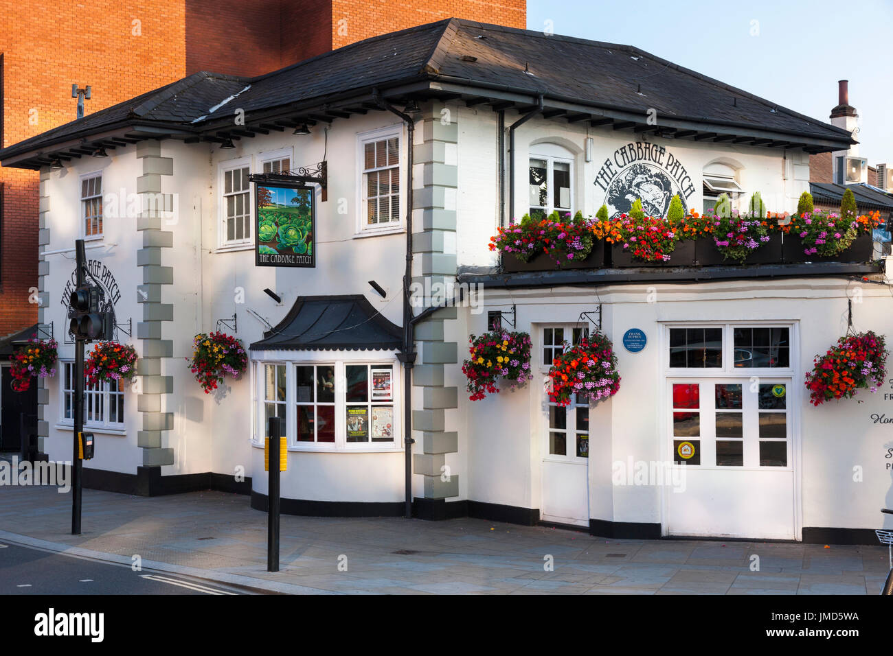 Cabbage Patch / local Pub / Gasthaus. Twickenham UK; voll / voll / beliebte Veranstaltungsort an Rugby-Spieltagen. Stockfoto