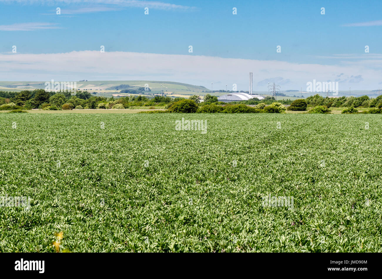 Landschaft von Gezeiten Mühle über famers Felder in Richtung Newhaven Nachverbrennungsanlage Stockfoto