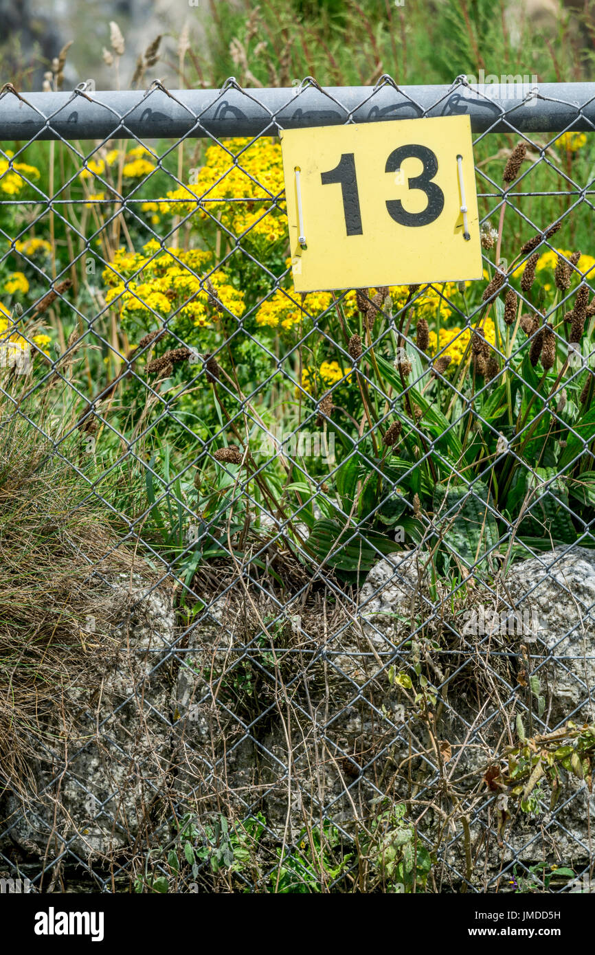 Gelbe Reihe, 13 Zeichen - eine Zahl, die Pech für einige, und auch ein Bäcker Dutzend. Ungerade Zahl. Stockfoto