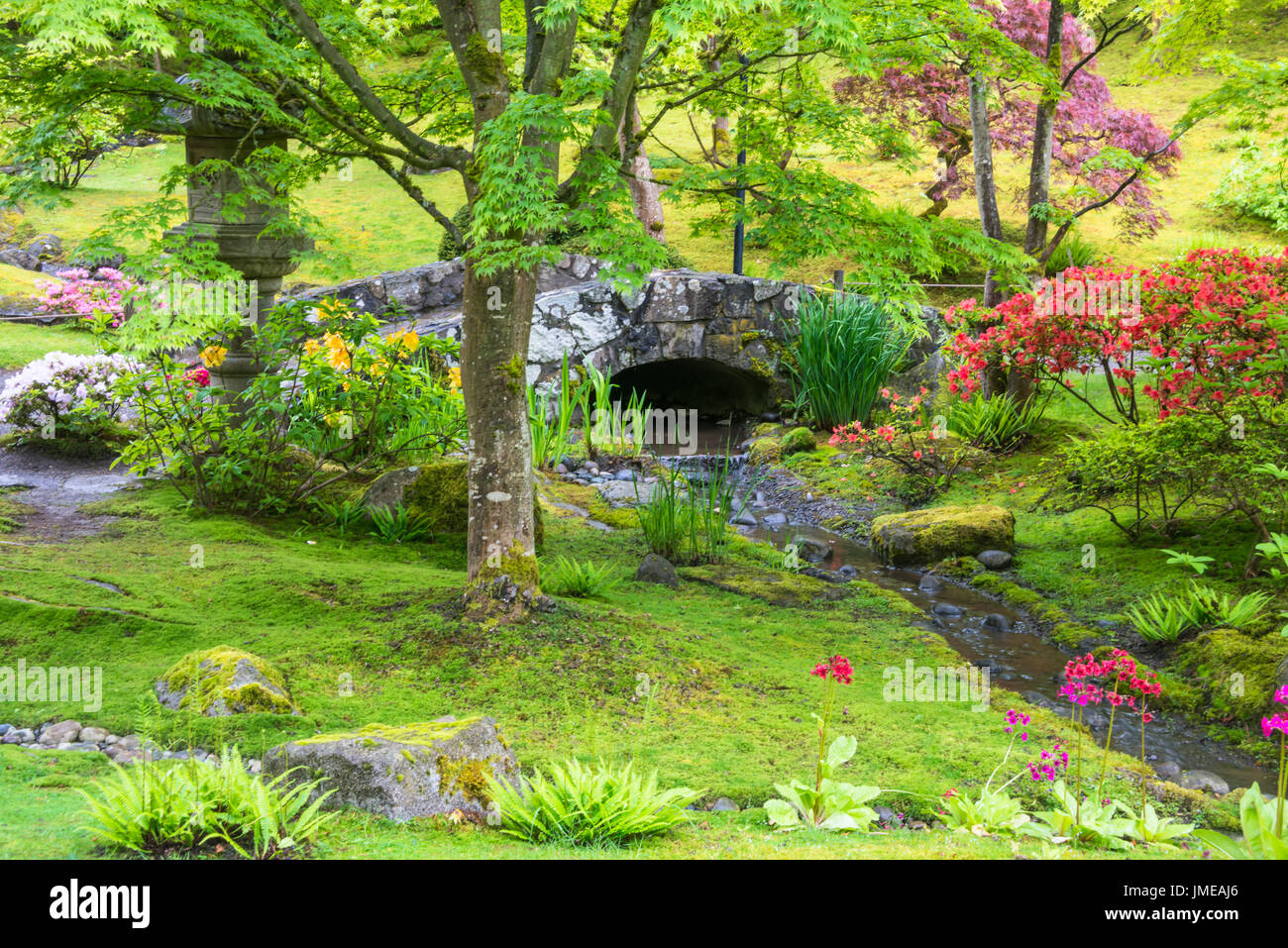 Steinbrücke über Bach im Frühjahr japanischer Garten Stockfoto