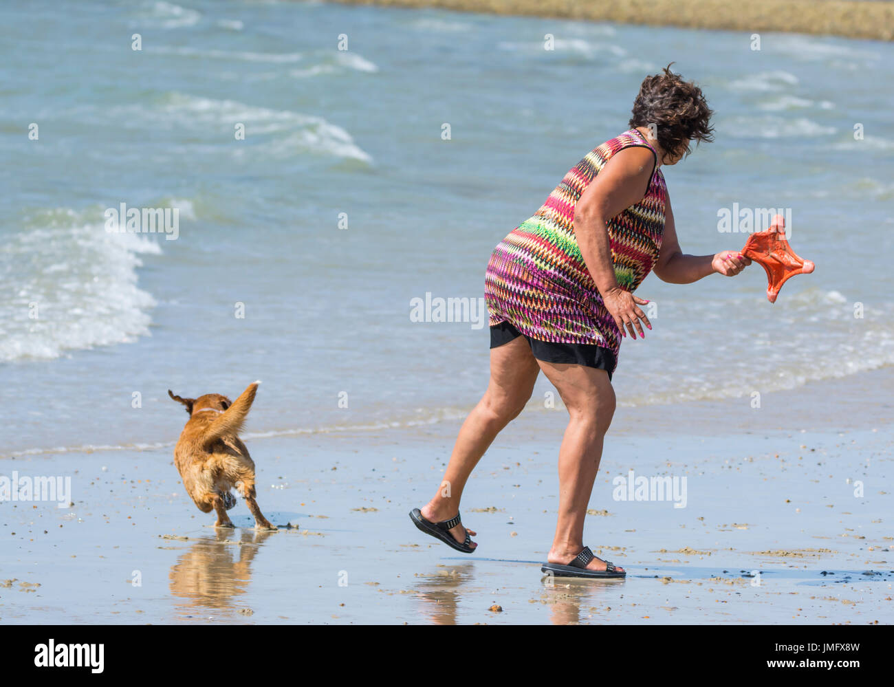 Frau und ihr Hund an einem Strand am Meer spielen. Stockfoto