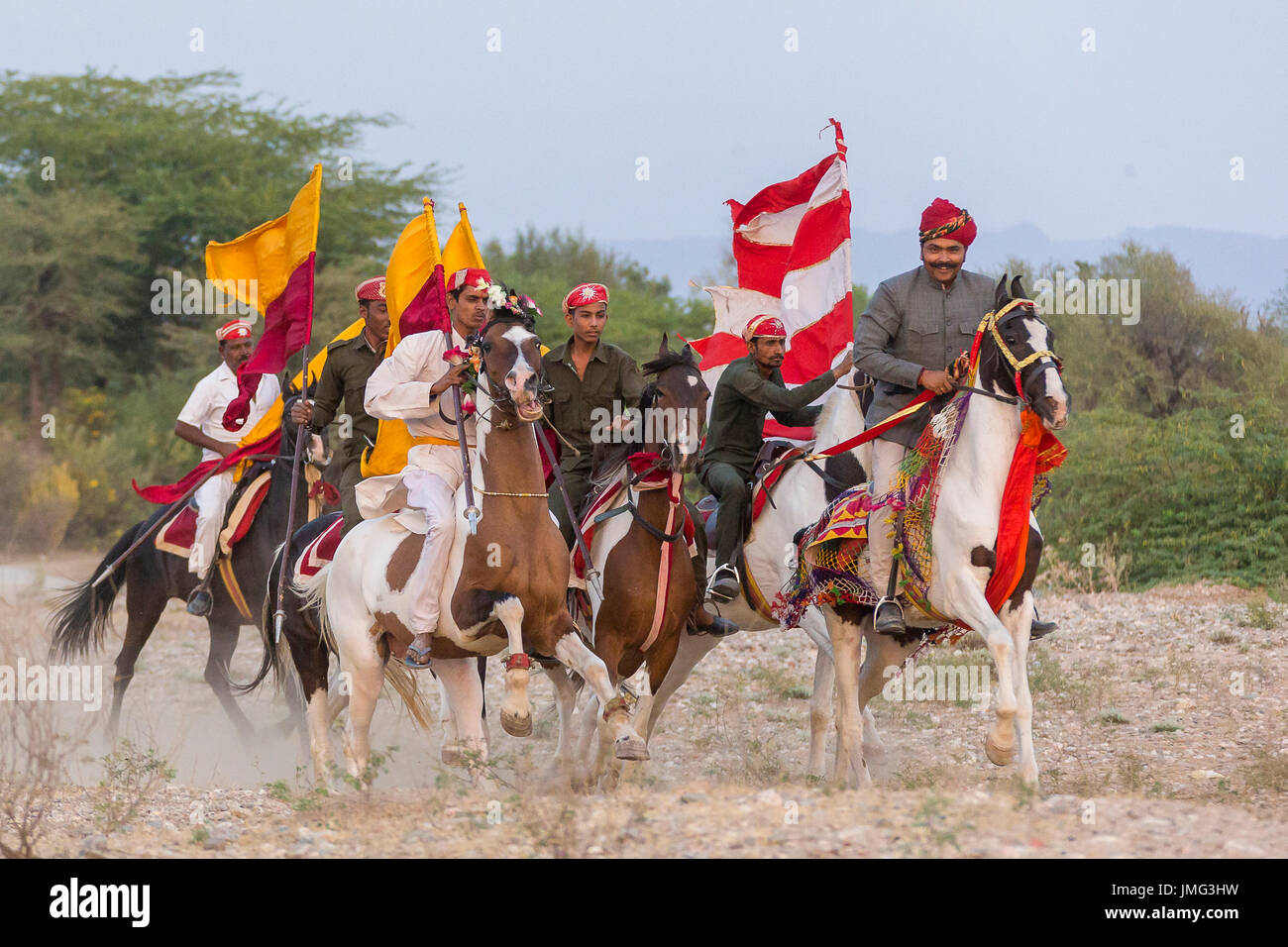 Marwari Pferde. Gruppe von Rajputs in Galopp. Indien Stockfoto