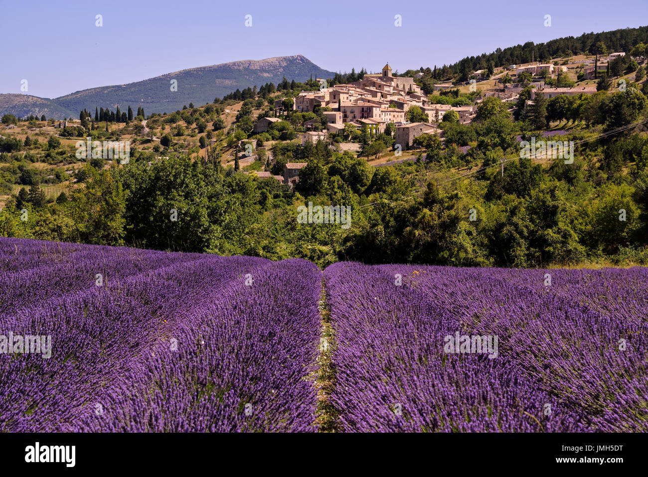 Eines der kleinen Dörfer, die unter die Lavendelfelder in der Provence, Frankreich befindet. Dies als viele andere befindet sich in einem Hügel mit Blick auf den Lavendel Stockfoto
