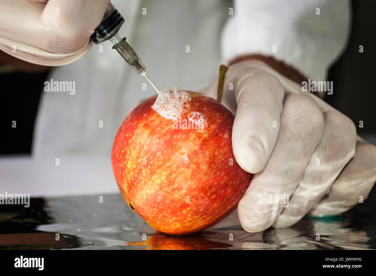Roter Apfel im Gentechnik-Labor, GVO-Food-Konzept Stockfoto