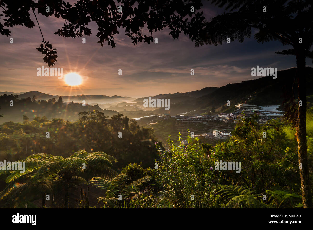 Blick auf Cameron Highland bei Sonnenaufgang Stockfoto