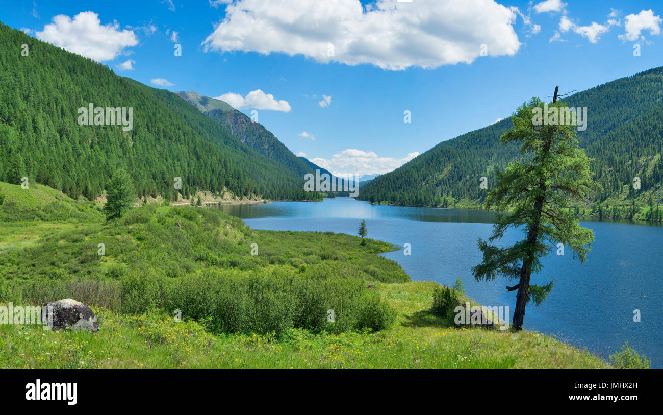 Ulagan Seen. Altai-Gebirge, Sibirien. Russland Stockfoto