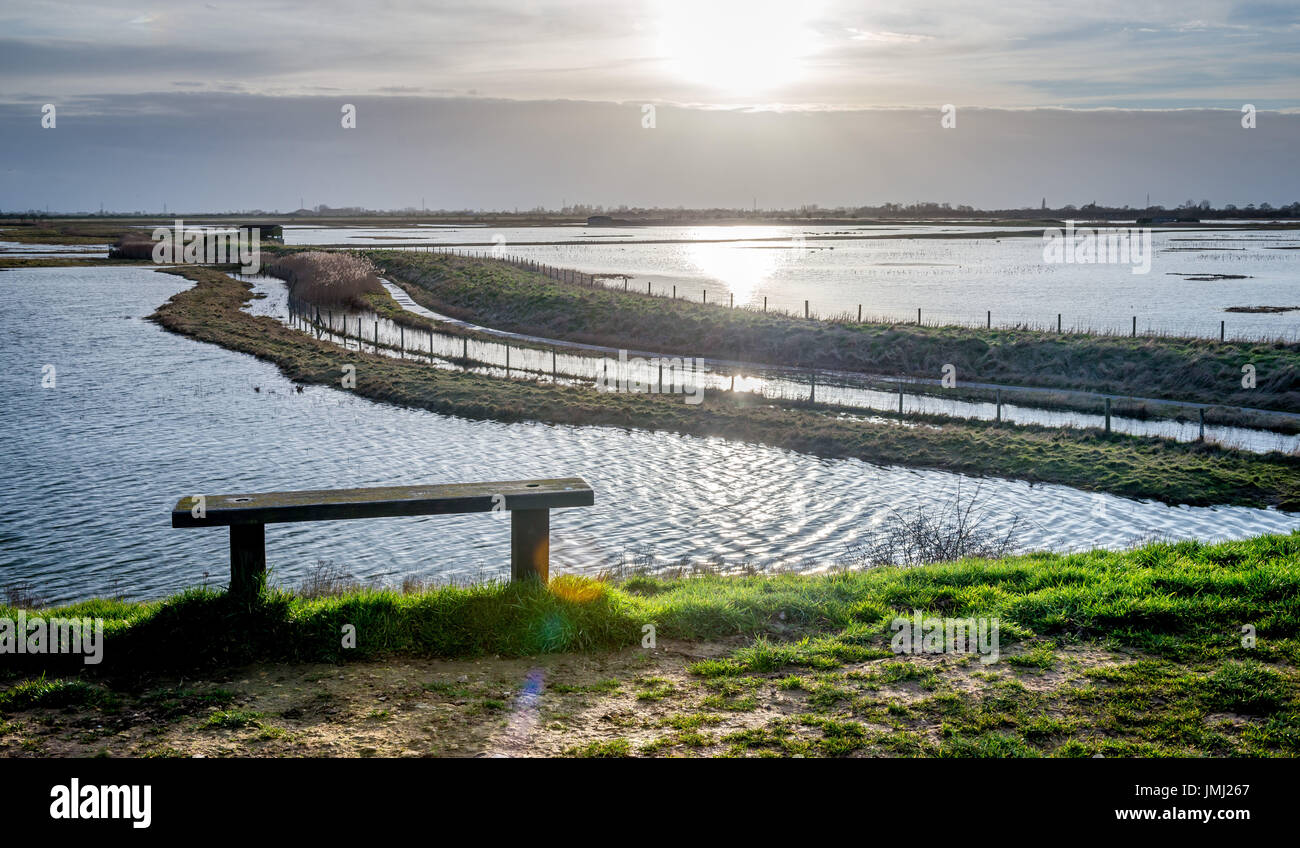 Das Küstengebiet bieten einige der größten natürlichen Salzwiesen im Vereinigten Königreich. RSPB Reserve Frampton Marsh an der Mündung der The Wash in Lincolnshire Stockfoto