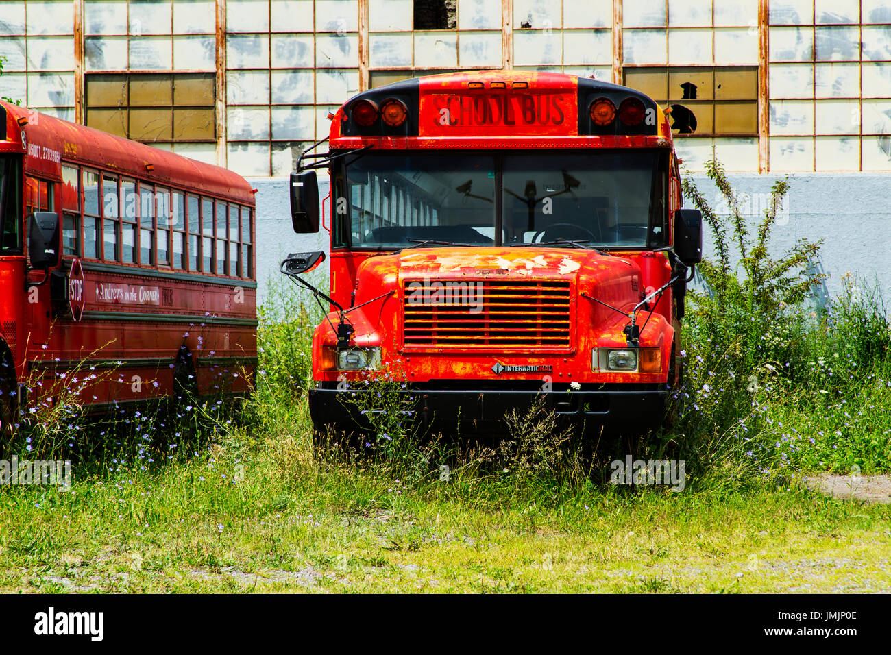 Detroit Michigan USA Schulbus in Menge geparkt. Stockfoto