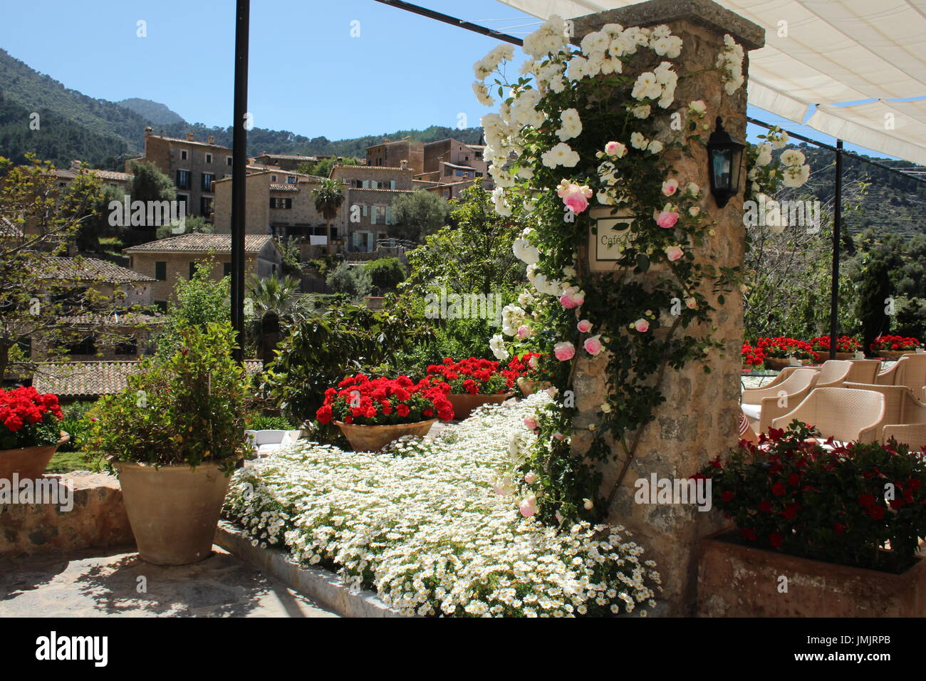 Mallorca, Deia, Blick vom Café-Terrasse mit Rosen und blühenden Blumen zum Dorf Deia Stockfoto