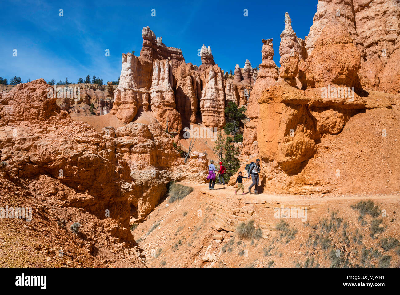 Ansicht des Bryce Canyon National Park, in der Nähe der Tropic, Utah, United States. Stockfoto