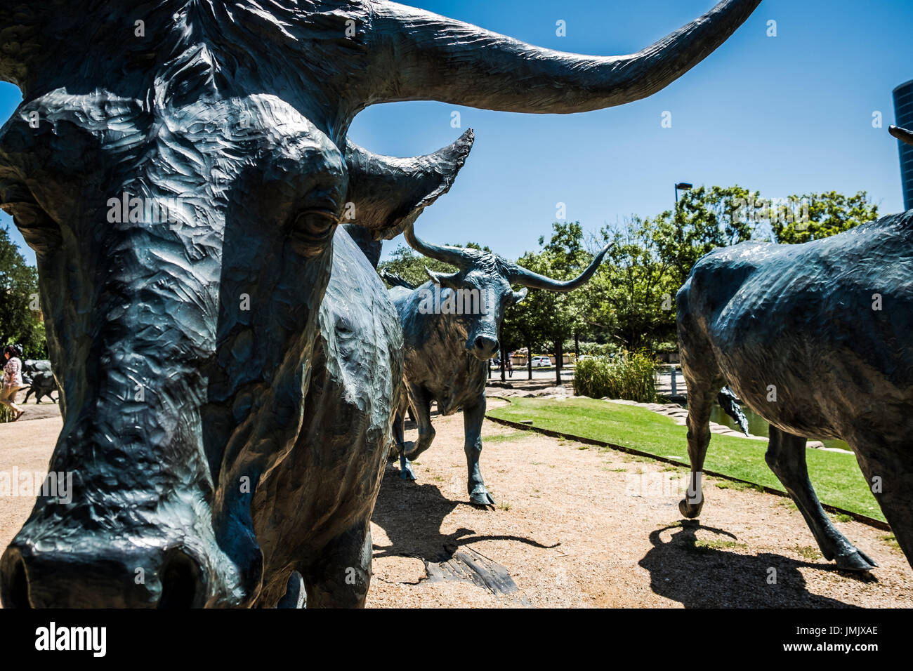 Ein Leben Größe Almabtrieb in Bronze im Pionierpark und Friedhof in der Innenstadt von Dallas, Texas. Stockfoto