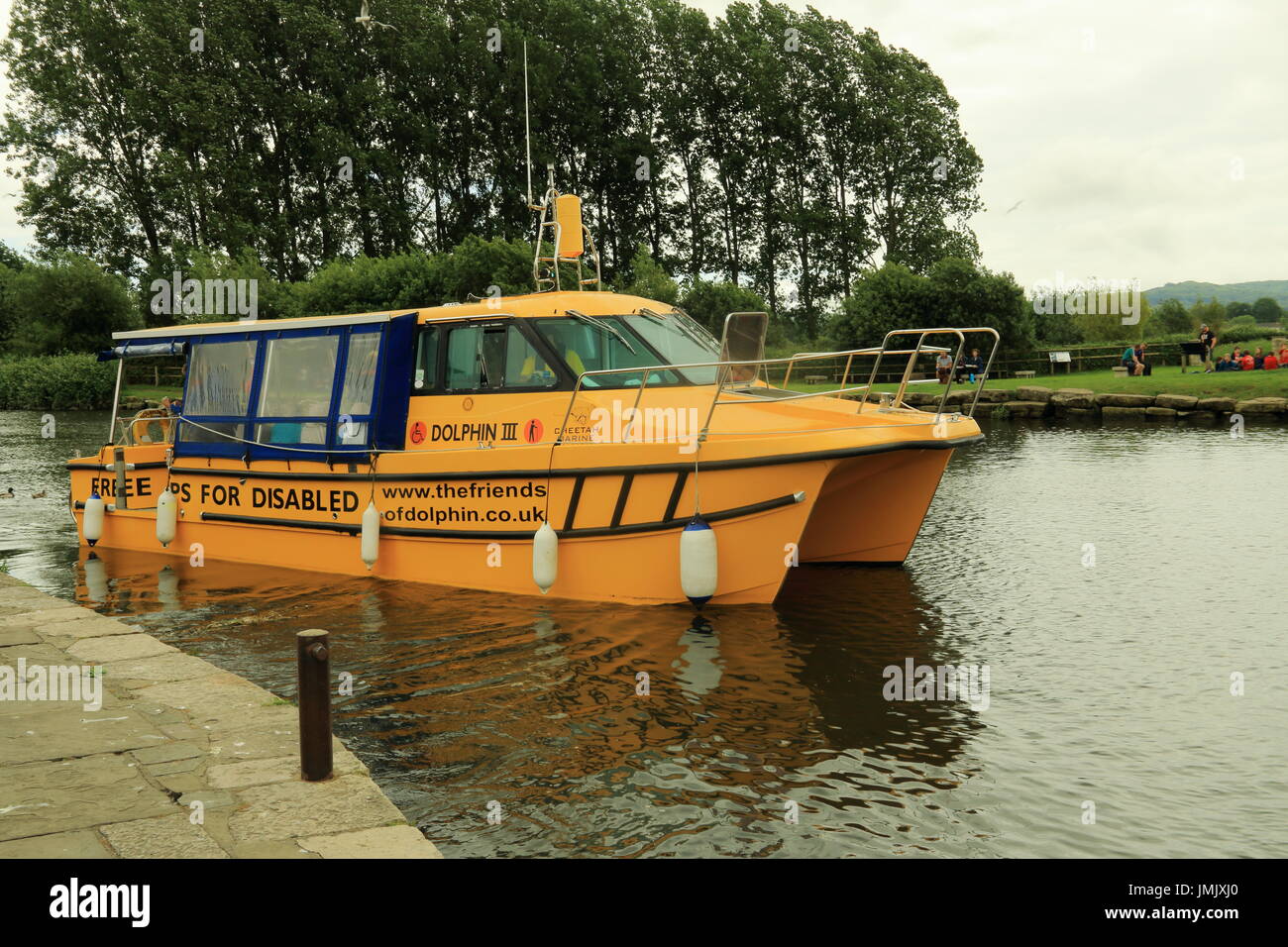 Delphin 3, Wareham, Dorset, Großbritannien Stockfoto