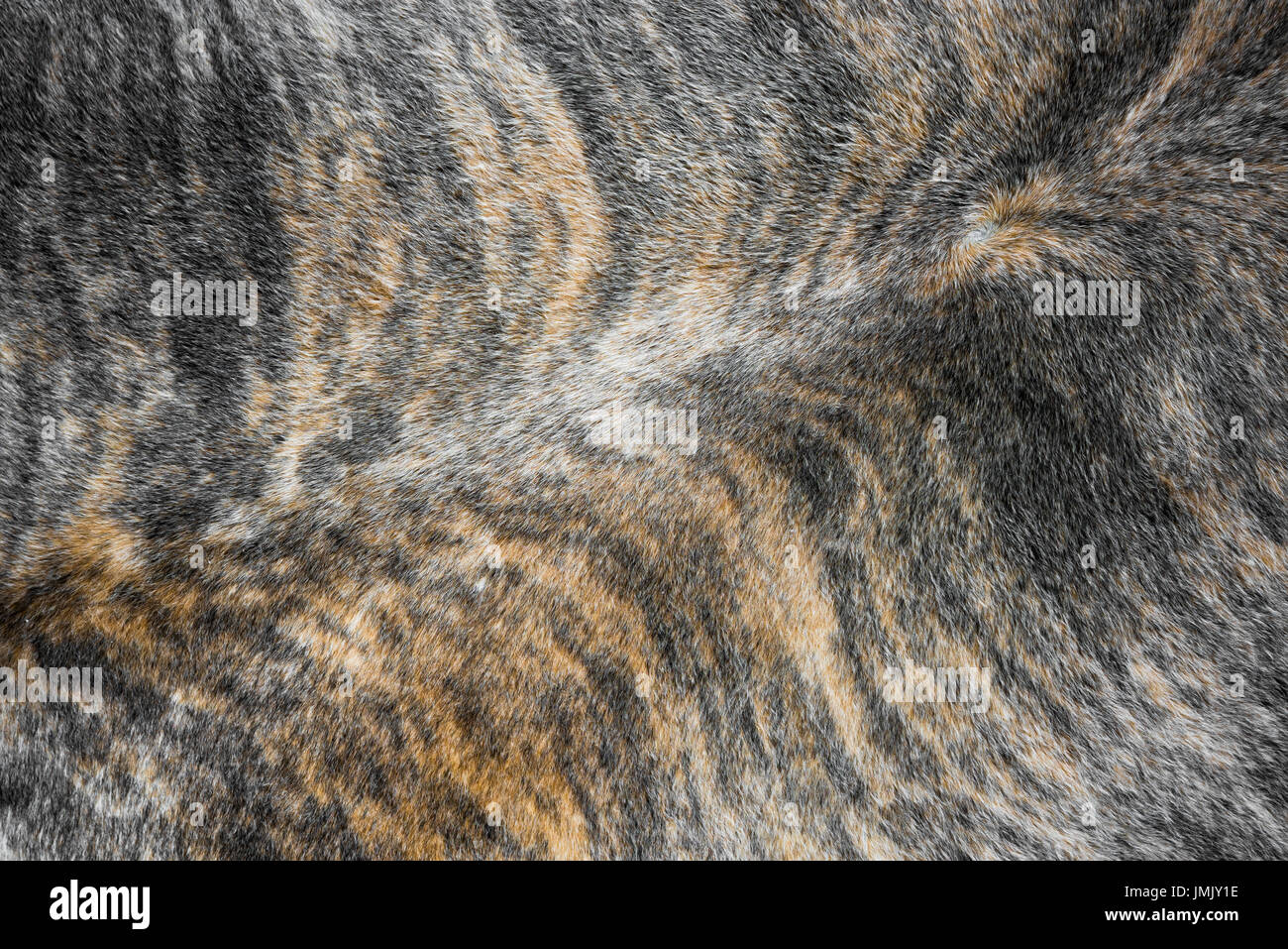 Detail der Tier Teppich verstecken. Stockfoto