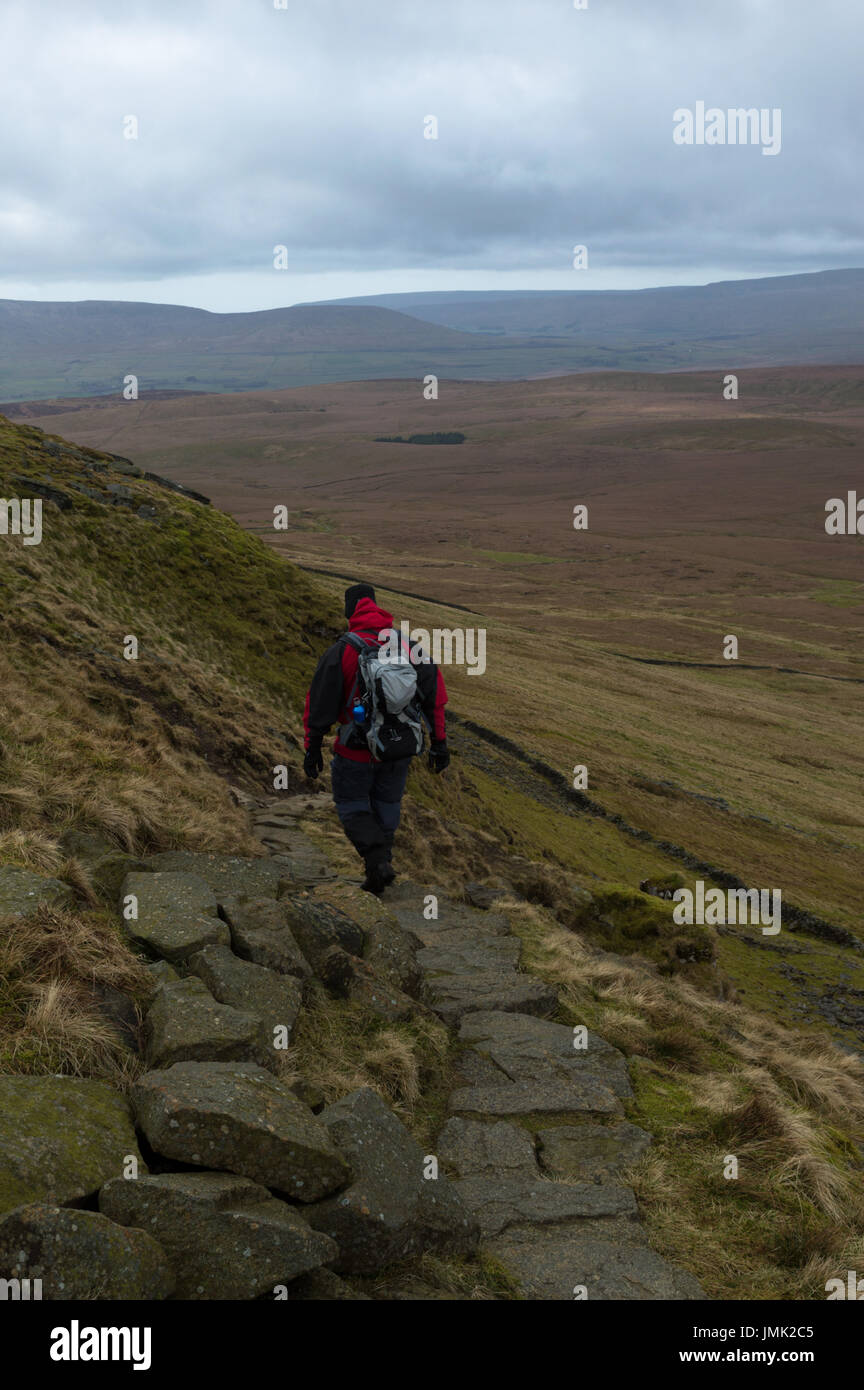 Ein Wanderer, die über Pen-y-Ghent Tal in den Yorkshire Dales Stockfoto