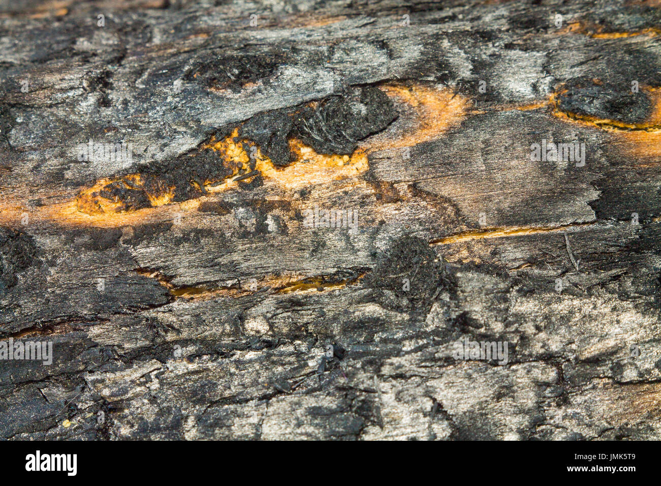 Die Textur der Kohle mit dem Auge Stockfoto