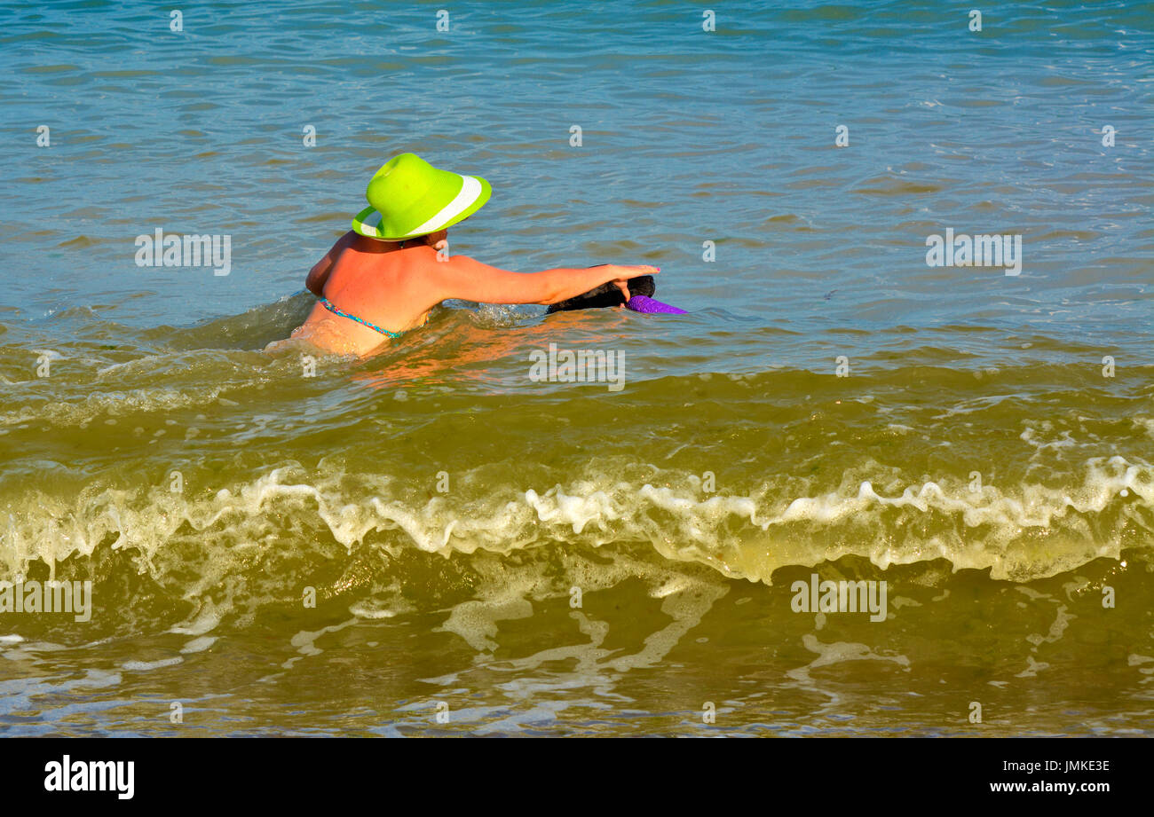 Der Rottweiler Hund und Herrin im Wasser am Strand spielen mit einem Spielzeug in Form eines Ringes. Juli 2017, Odessa, Ukraine Stockfoto