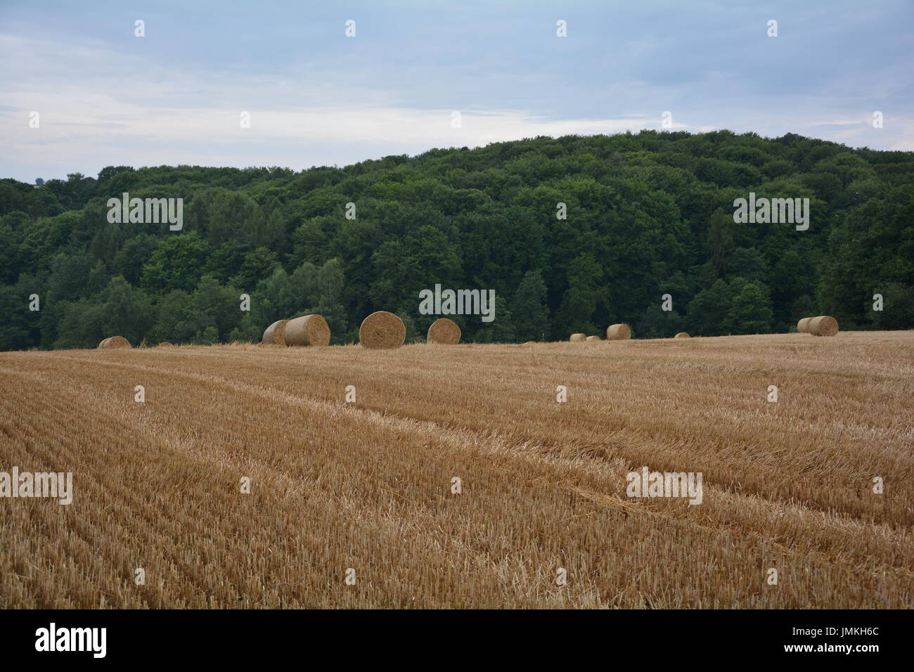 Strohballen liegen in einer Landschaft Stockfoto