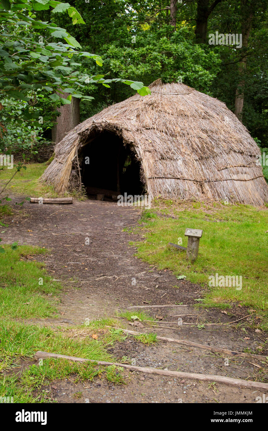 Ashdown Forest, West Sussex, UK Stockfoto