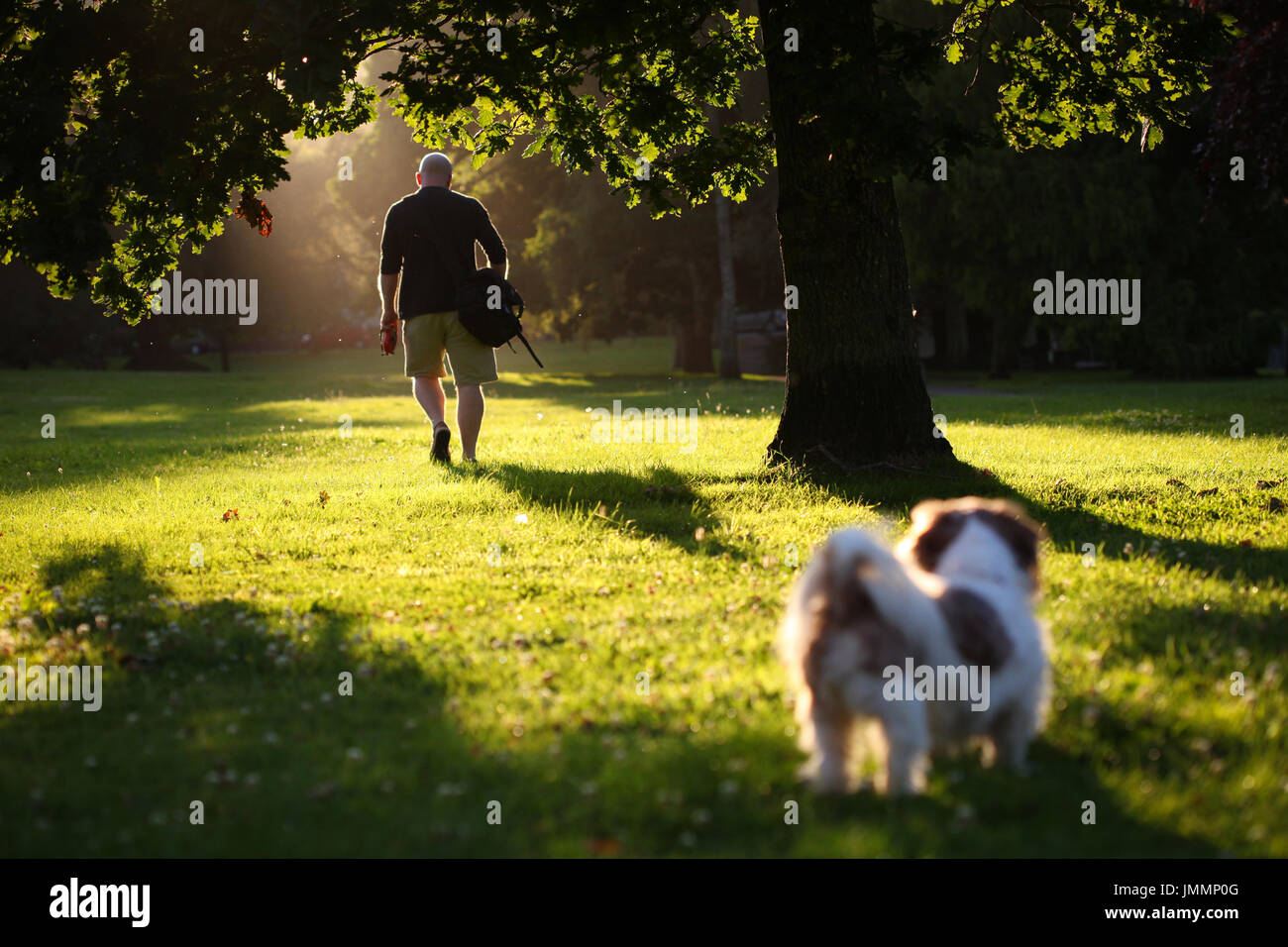Mann zu Fuß entfernt von Hund Stockfoto