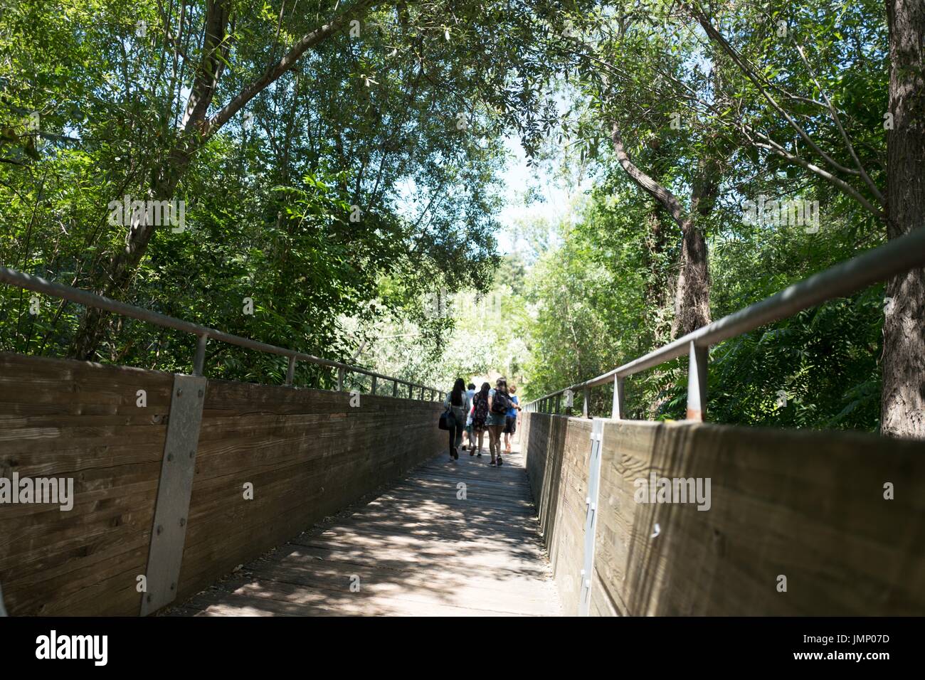 Eine Gruppe von Touristen geht auf eine lange, schmale Holzbrücke Cull Canyon regionale Recreation Area, ein East Bay Regional Park in der San Francisco Bay Area Stadt Castro Valley, Kalifornien, 30. Juni 2017. Stockfoto