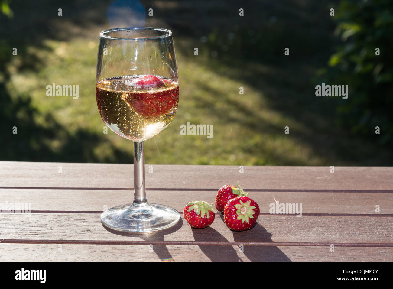 Hinterleuchtete Glas mit Sekt und Erdbeeren auf ein Register in einem beinhaltet Stockfoto