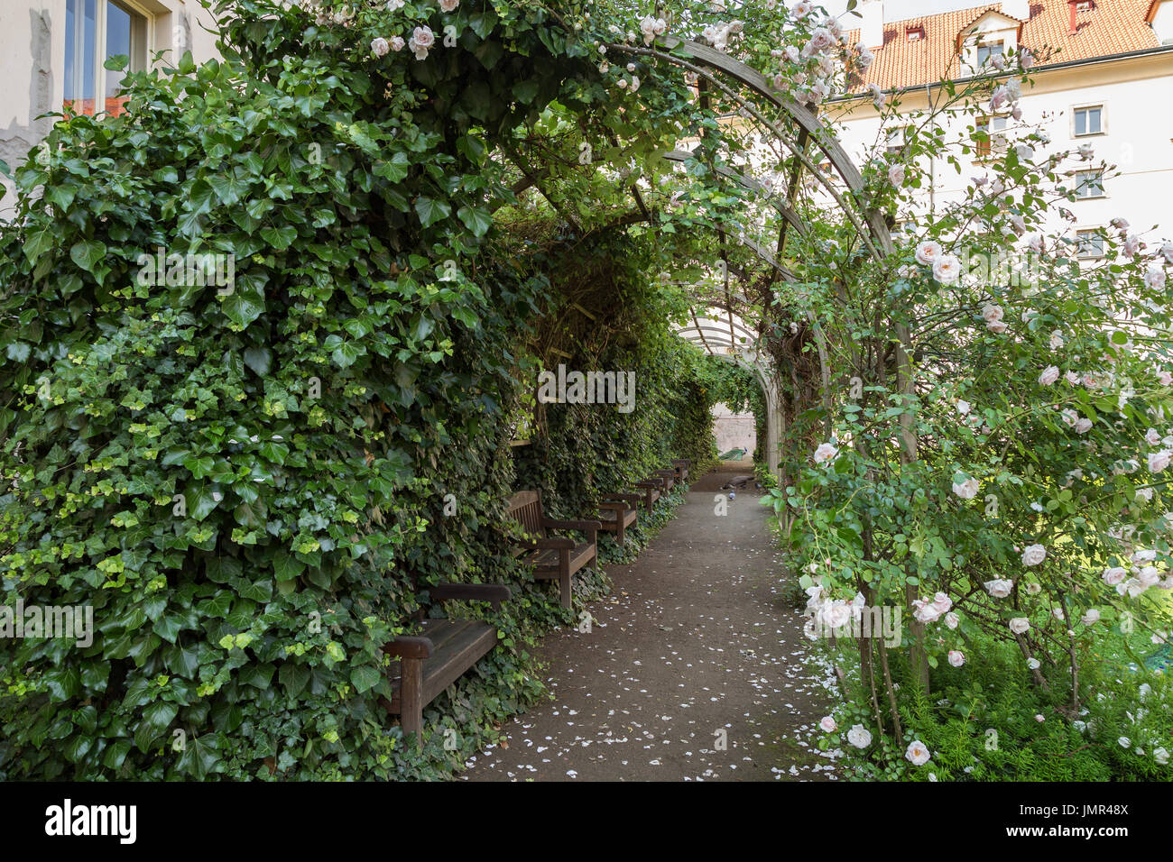 Üppige rose Pergola an der Vojan Gärten (Vojanovy Sady). Es ist ein öffentlicher Garten auf der Kleinseite (Mala Strana), Prag, Tschechische Republik. Stockfoto