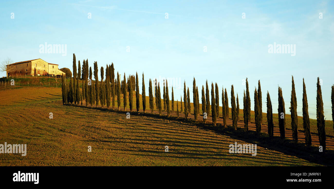 TUSCANY-Januar 18:Farmhouse und Zypresse Bäume von der Straße nach Volterra, Toskana, Italien, am Januar gesehen 18,2008. Stockfoto