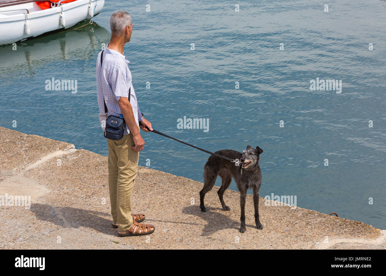 Mann zu Fuß Lurcher Hund entlang der Hafenmauer bei Lyme Regis, Dorset im Juli Stockfoto