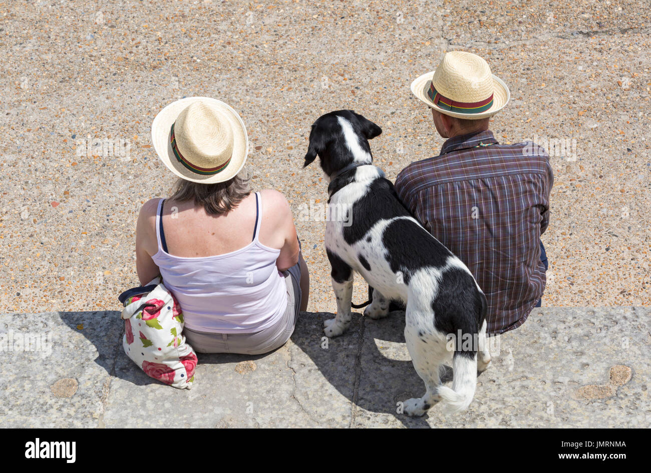 Auf der Suche nach unten über Paar sitzt auf Hafenmauer mit Hund bei Lyme Regis, Dorset im Juli Stockfoto