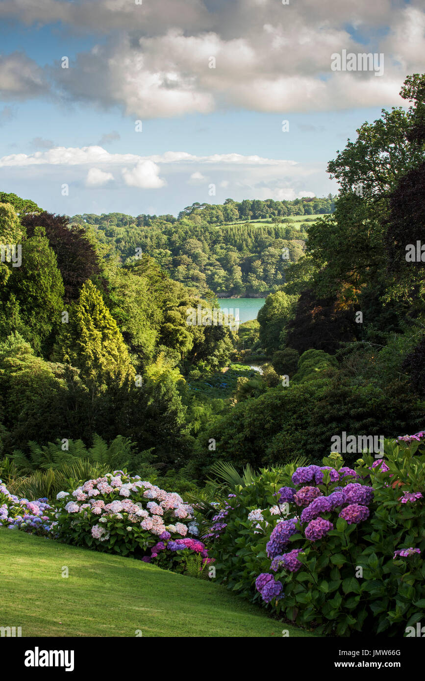 Trebah Garten in Cornwall. Stockfoto
