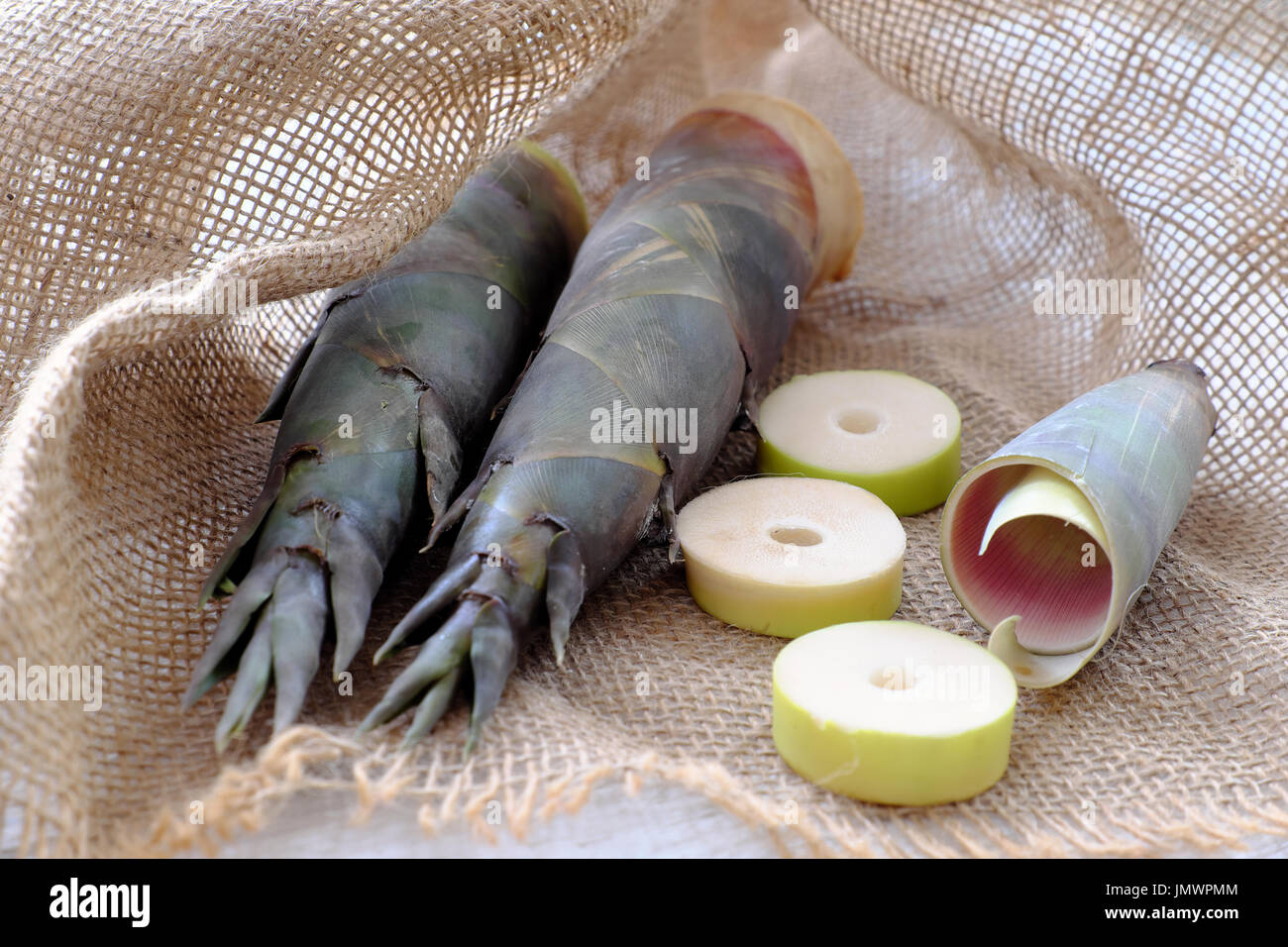 Nahaufnahme von zwei Bambussprossen auf Sackleinen Hintergrund, beliebtes Vietnam Gemüse in der Regenzeit Stockfoto